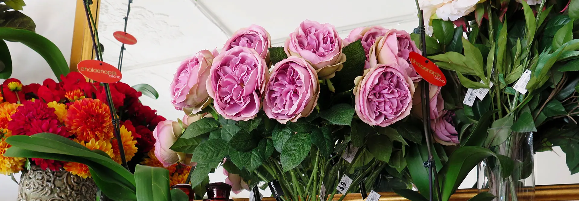 Oatley House of Flowers WordPress site Development Agency Custom